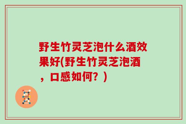 野生竹灵芝泡什么酒效果好(野生竹灵芝泡酒，口感如何？)