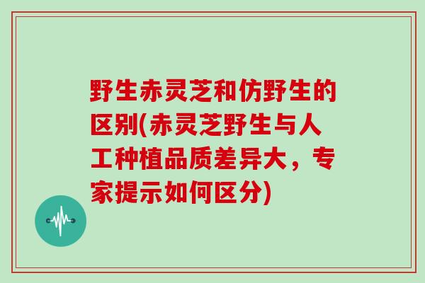 野生赤灵芝和仿野生的区别(赤灵芝野生与人工种植品质差异大，专家提示如何区分)