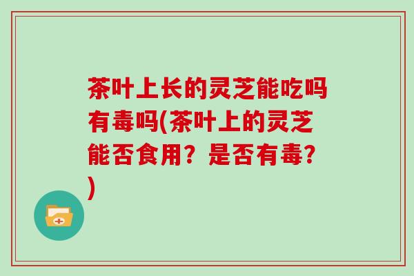 茶叶上长的灵芝能吃吗有毒吗(茶叶上的灵芝能否食用?是否有毒?)-第1张图片-灵芝大师 茶叶上长的灵芝能吃吗有毒吗(茶叶上的灵芝能否食用?是否有毒?)-第1张图片-灵芝大师