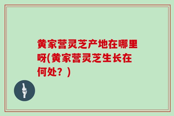 黄家营灵芝产地在哪里呀(黄家营灵芝生长在何处？)