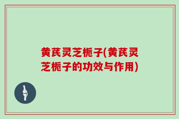 黄芪灵芝栀子(黄芪灵芝栀子的功效与作用)
