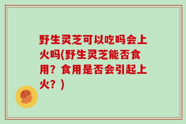 野生灵芝可以吃吗会上火吗(野生灵芝能否食用？食用是否会引起上火？)