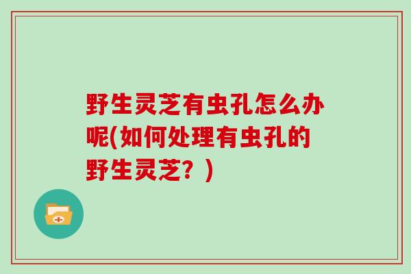 野生灵芝有虫孔怎么办呢(如何处理有虫孔的野生灵芝？)