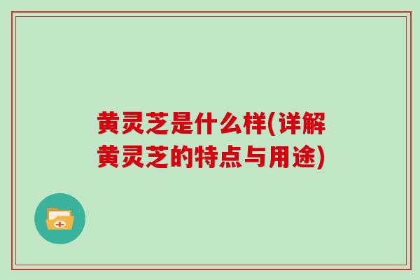 黄灵芝是什么样(详解黄灵芝的特点与用途)