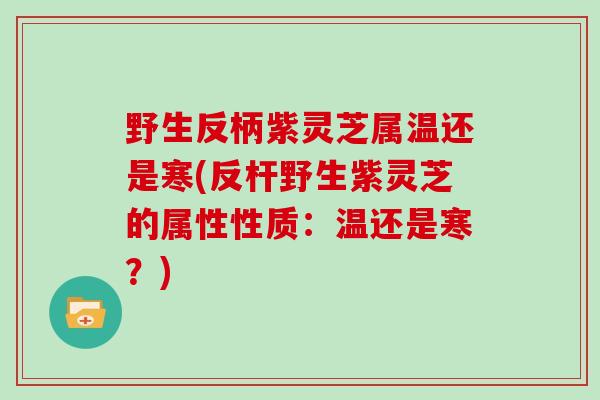 野生反柄紫灵芝属温还是寒(反杆野生紫灵芝的属性性质：温还是寒？)