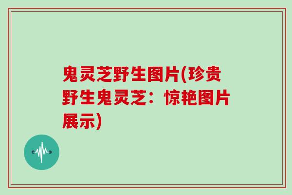 鬼灵芝野生图片(珍贵野生鬼灵芝：惊艳图片展示)