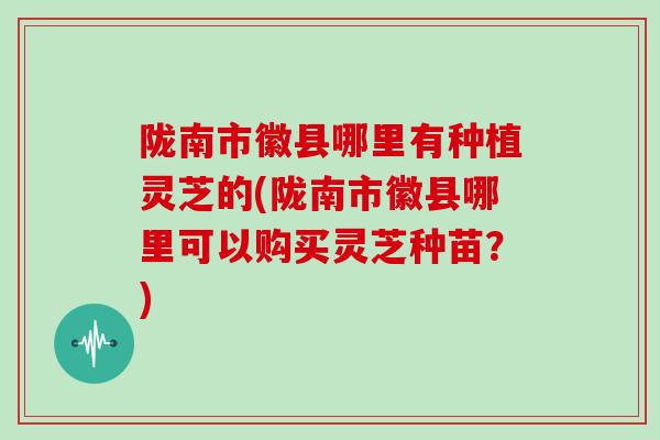 陇南市徽县哪里有种植灵芝的(陇南市徽县哪里可以购买灵芝种苗？)