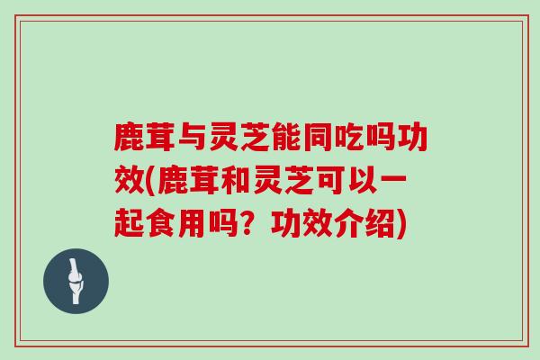 鹿茸与灵芝能同吃吗功效(鹿茸和灵芝可以一起食用吗？功效介绍)