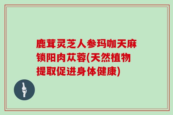 鹿茸灵芝人参玛咖天麻锁阳肉苁蓉(天然植物提取促进身体健康)