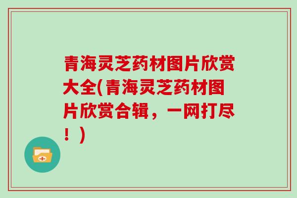 青海灵芝药材图片欣赏大全(青海灵芝药材图片欣赏合辑，一网打尽！)