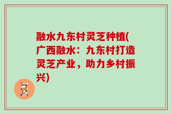 融水九东村灵芝种植(广西融水：九东村打造灵芝产业，助力乡村振兴)