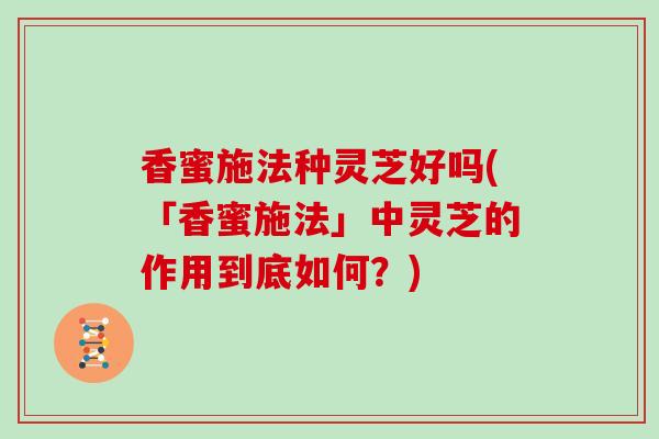 香蜜施法种灵芝好吗(「香蜜施法」中灵芝的作用到底如何？)