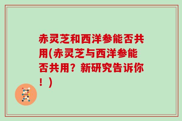赤灵芝和西洋参能否共用(赤灵芝与西洋参能否共用?新研究告诉你!)-第1张图片-灵芝大师 赤灵芝和西洋参能否共用(赤灵芝与西洋参能否共用?新研究告诉你!)-第1张图片-灵芝大师