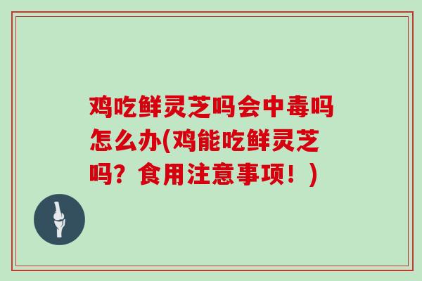 鸡吃鲜灵芝吗会中毒吗怎么办(鸡能吃鲜灵芝吗？食用注意事项！)