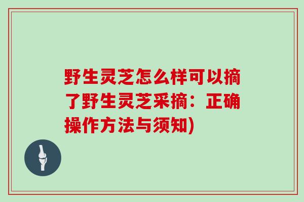 野生灵芝怎么样可以摘了野生灵芝采摘：正确操作方法与须知)