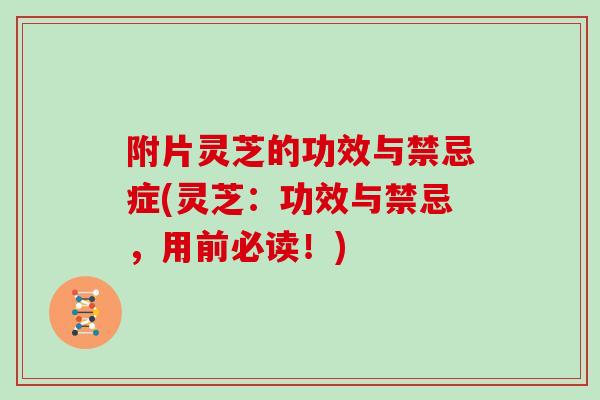 附片灵芝的功效与禁忌症(灵芝：功效与禁忌，用前必读！)