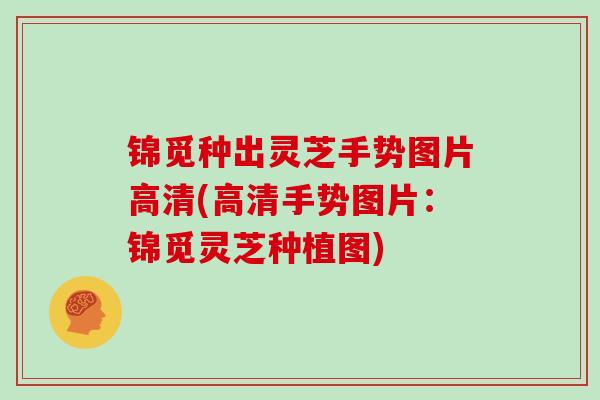 锦觅种出灵芝手势图片高清(高清手势图片：锦觅灵芝种植图)