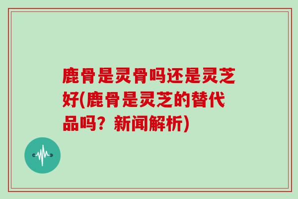 鹿骨是灵骨吗还是灵芝好(鹿骨是灵芝的替代品吗？新闻解析)