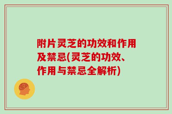 附片灵芝的功效和作用及禁忌(灵芝的功效、作用与禁忌全解析)