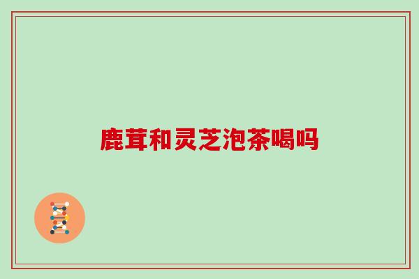 鹿茸和灵芝泡茶喝吗