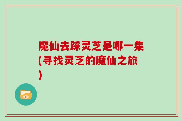魔仙去踩灵芝是哪一集(寻找灵芝的魔仙之旅)