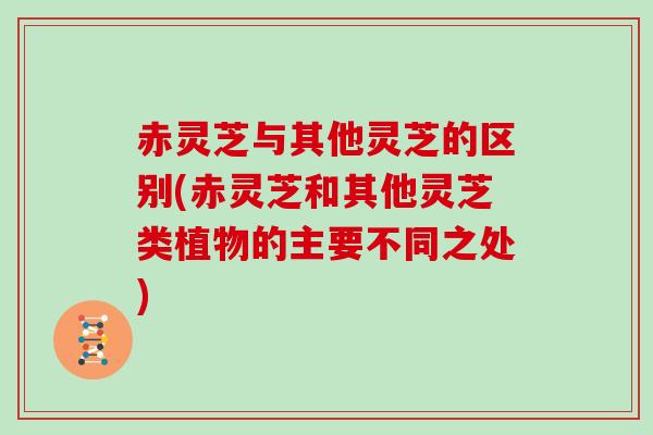 赤灵芝与其他灵芝的区别(赤灵芝和其他灵芝类植物的主要不同之处)