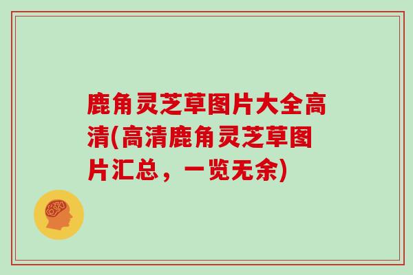 鹿角灵芝草图片大全高清(高清鹿角灵芝草图片汇总，一览无余)