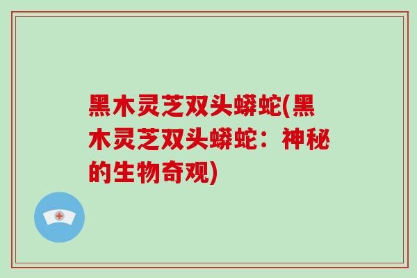 黑木灵芝双头蟒蛇(黑木灵芝双头蟒蛇：神秘的生物奇观)