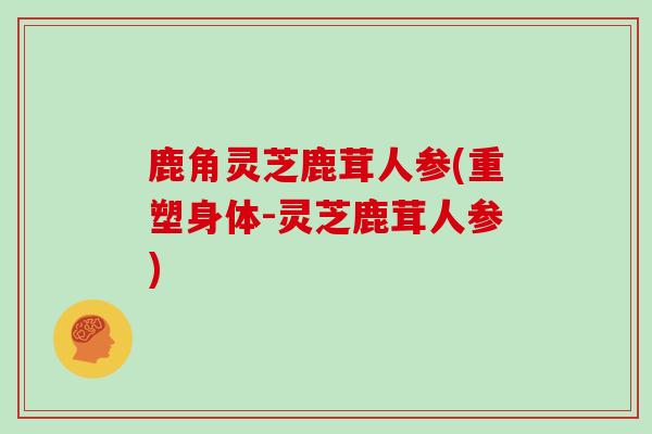 鹿角灵芝鹿茸人参(重塑身体-灵芝鹿茸人参)
