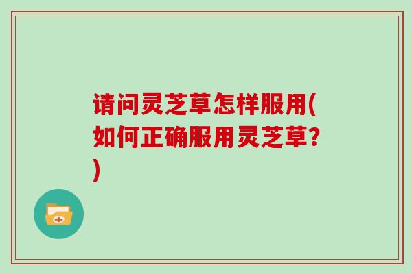 请问灵芝草怎样服用(如何正确服用灵芝草？)