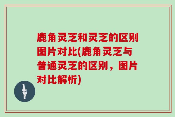 鹿角灵芝和灵芝的区别图片对比(鹿角灵芝与普通灵芝的区别，图片对比解析)