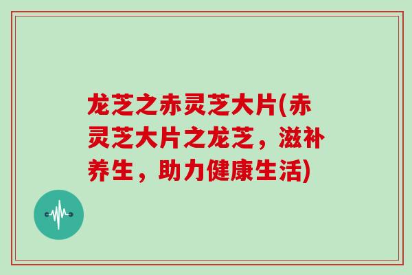 龙芝之赤灵芝大片(赤灵芝大片之龙芝，滋补养生，助力健康生活)