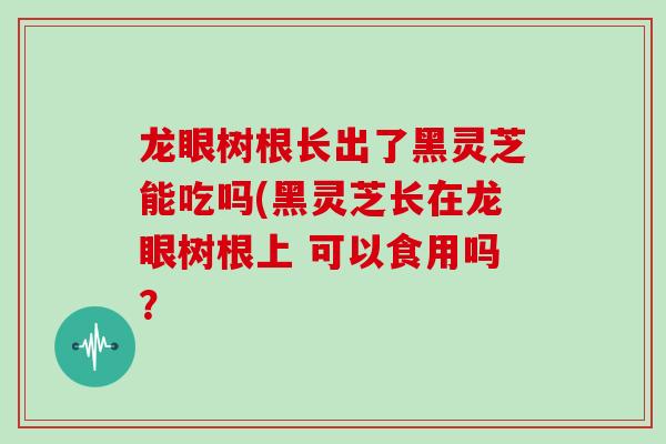 龙眼树根长出了黑灵芝能吃吗(黑灵芝长在龙眼树根上 可以食用吗？