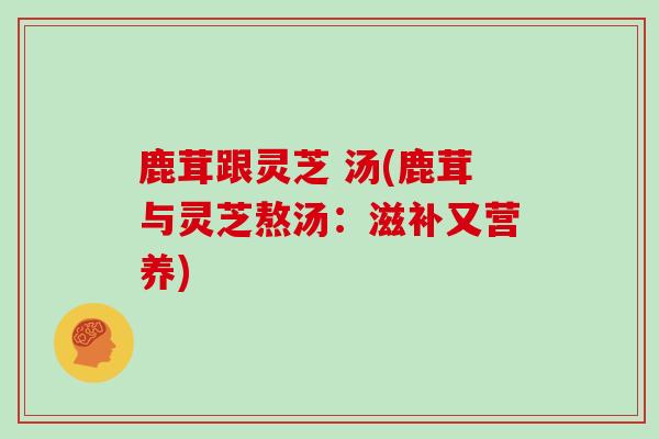 鹿茸跟灵芝 汤(鹿茸与灵芝熬汤：滋补又营养)