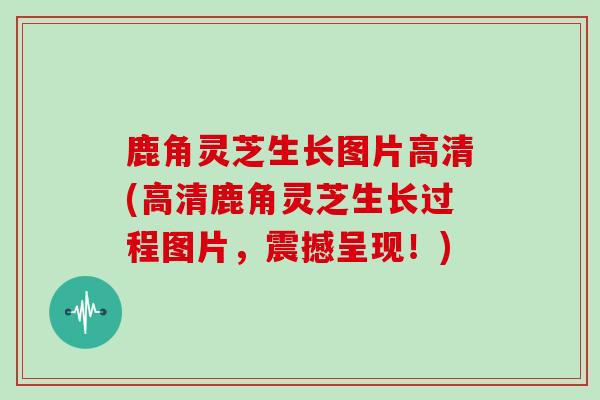 鹿角灵芝生长图片高清(高清鹿角灵芝生长过程图片，震撼呈现！)