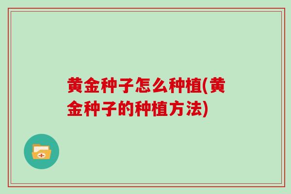 黄金种子怎么种植(黄金种子的种植方法)
