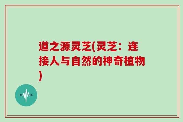 道之源灵芝(灵芝：连接人与自然的神奇植物)