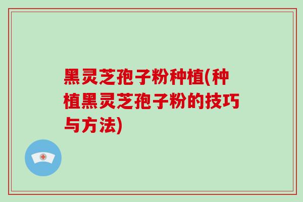 黑灵芝孢子粉种植(种植黑灵芝孢子粉的技巧与方法)