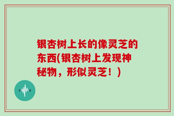 银杏树上长的像灵芝的东西(银杏树上发现神秘物，形似灵芝！)