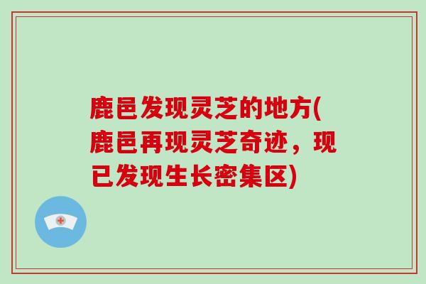 鹿邑发现灵芝的地方(鹿邑再现灵芝奇迹，现已发现生长密集区)