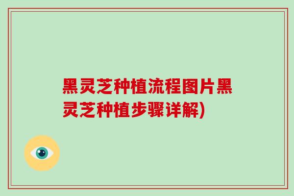 黑灵芝种植流程图片黑灵芝种植步骤详解)