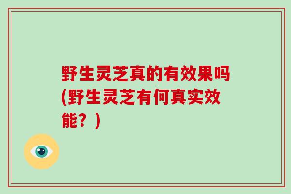 野生灵芝真的有效果吗(野生灵芝有何真实效能？)