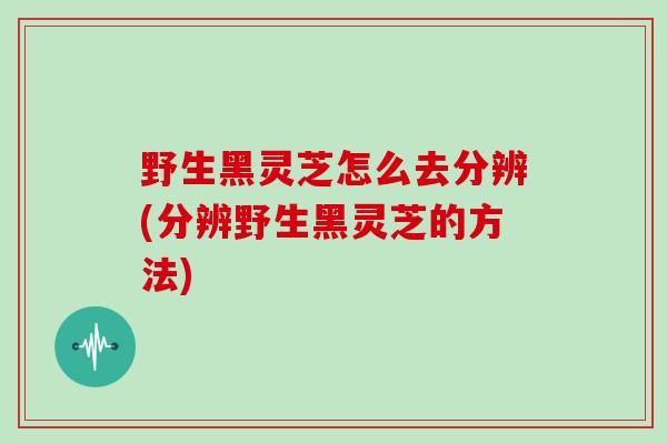 野生黑灵芝怎么去分辨(分辨野生黑灵芝的方法)