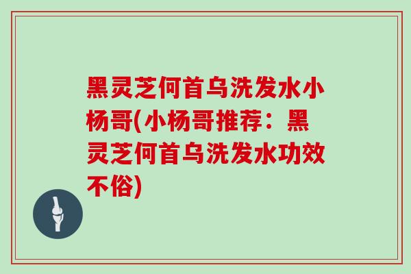 黑灵芝何首乌洗发水小杨哥(小杨哥推荐：黑灵芝何首乌洗发水功效不俗)