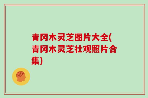青冈木灵芝图片大全(青冈木灵芝壮观照片合集)
