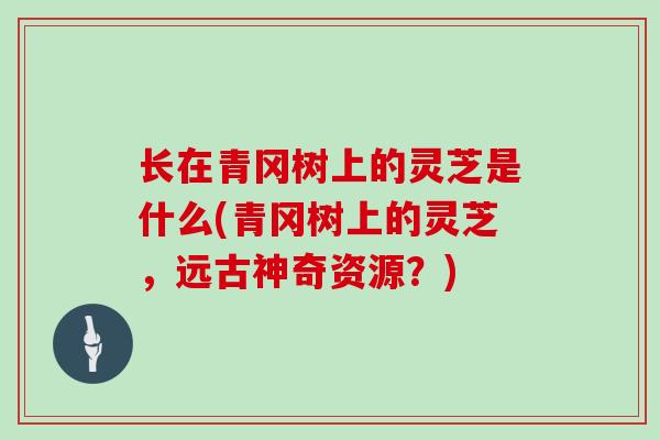 长在青冈树上的灵芝是什么(青冈树上的灵芝，远古神奇资源？)