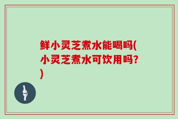 鲜小灵芝煮水能喝吗(小灵芝煮水可饮用吗？)