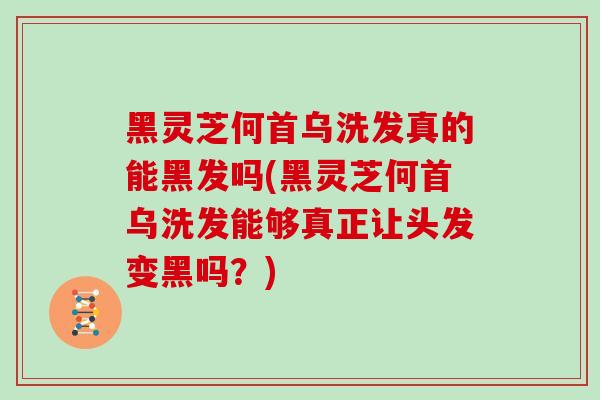 黑灵芝何首乌洗发真的能黑发吗(黑灵芝何首乌洗发能够真正让头发变黑吗？)