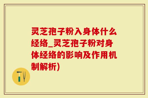 灵芝孢子粉入身体什么经络_灵芝孢子粉对身体经络的影响及作用机制解析)