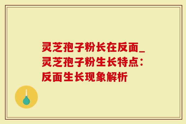 灵芝孢子粉长在反面_灵芝孢子粉生长特点：反面生长现象解析